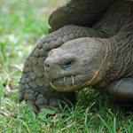 Michele Lemay - Galapagos Private Customized Tour - Feb 2023