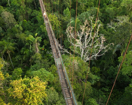 Amazon Canopy Walkway