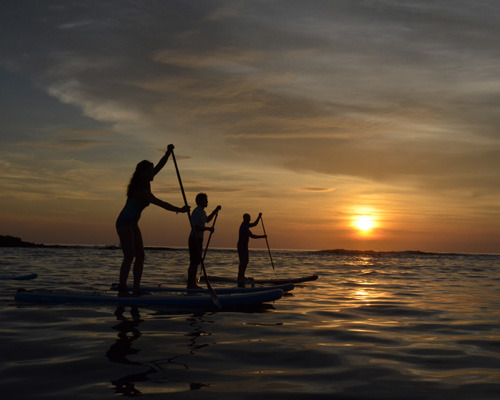 Galapagos SUP Tours | Leader in Stand-Up Paddling the Galapagos Islands