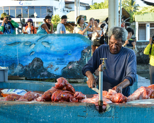 Galapagos Fish Market