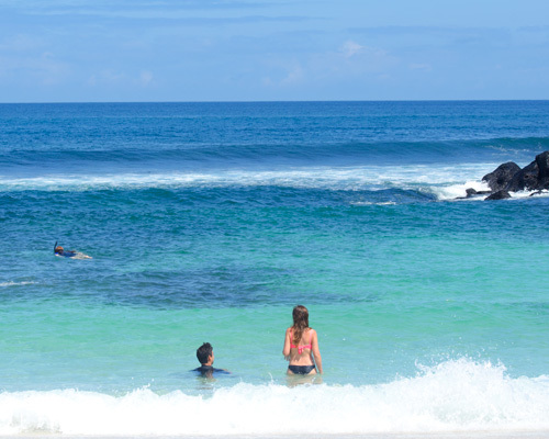 Snorkeling and Swimming in the Galapagos