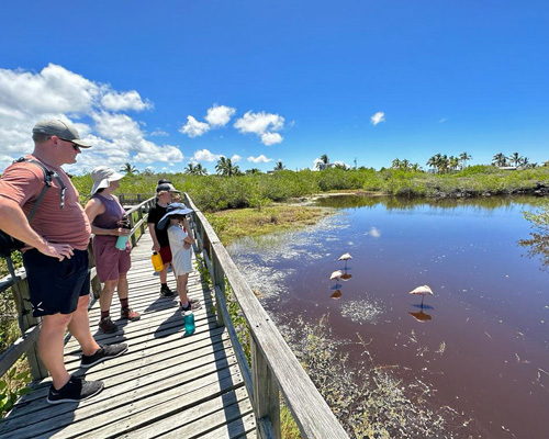 Family watching Flamingoes on Isabela Island