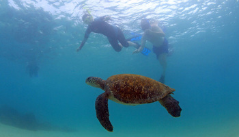 Galapagos Family Tour