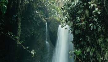 Mindo Waterfall